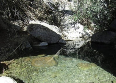 Imagen secundaria 1 - Rutas en Valencia | Peña María, una joya natural a pies del río Turia