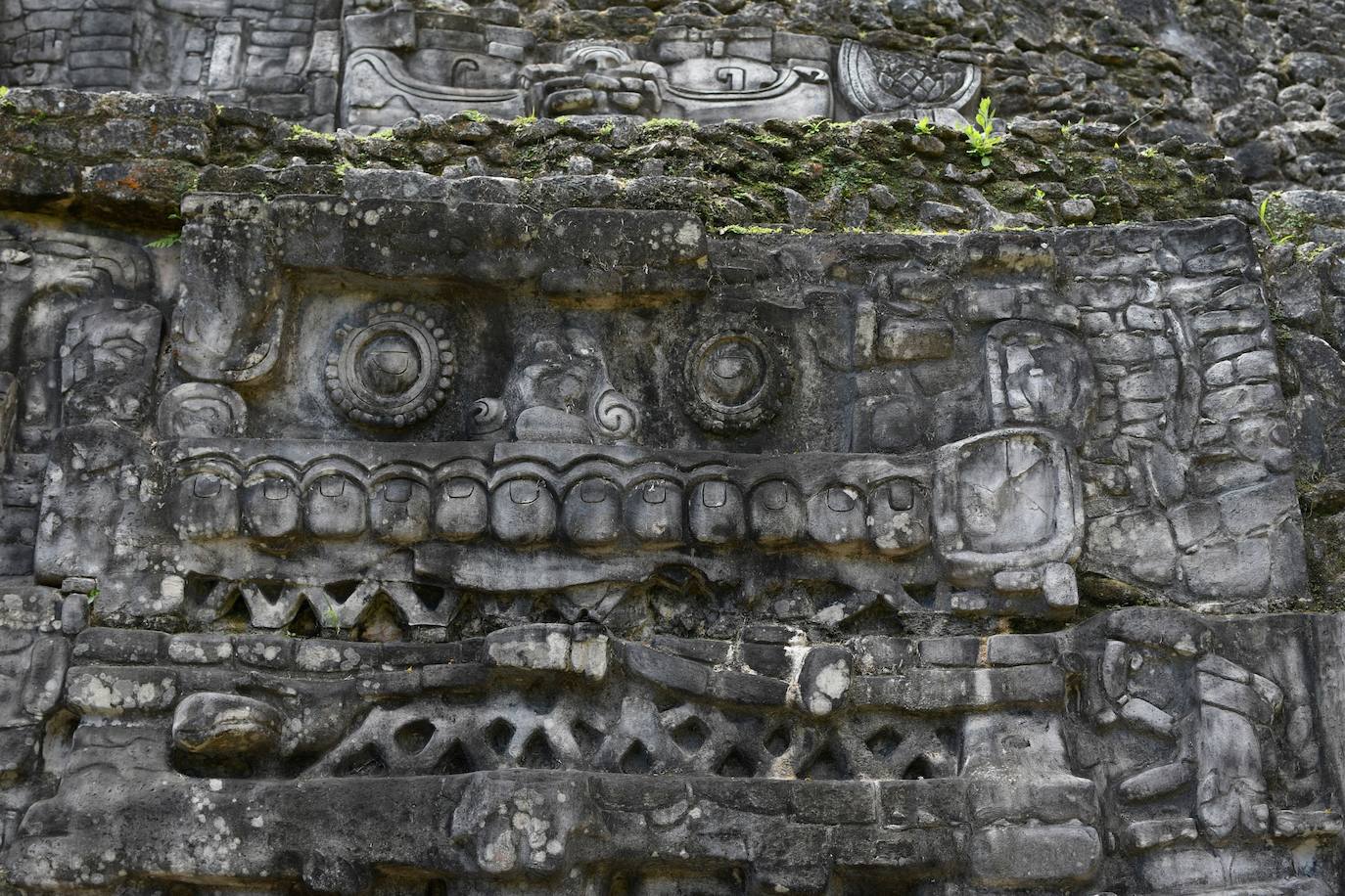 Muchos de los turistas que se desplazan hasta Belice lo hacen para bucear en su asombrosa barrera de coral, sin embargo este país de la costa este de América Central cuenta con una gran cultura maya. Se estima que en Belice existen más de 900 importantes restos arqueológicos de esta importante civilización antigua. Los mayas estuvieron presentes allí desde el 2000 a. C. Vivían especialmente en pantanos costeros, habitaban cayos y explotaban la riqueza de las montañas, celebrando sus ceremonías en el interior de cuevas. Como si fueran unos visitantes más, el príncipe Guillermo y su esposa, la duquesa de Cambridge, se han adentrado en la selva del país con una visita a Caracol, una ciudad maya de la época precolombina que ha sido designada como una reserva arqueológica y que está ubicada en el distrito Cayo. 