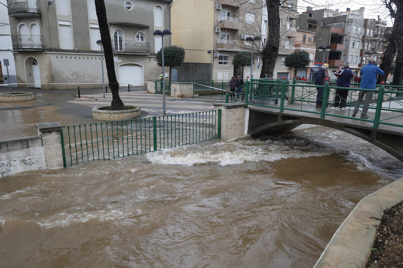 Tras nueve días consecutivos de lluvia, el río Vaca, a su paso por Simat de Valldigna, se ha desbordado. 