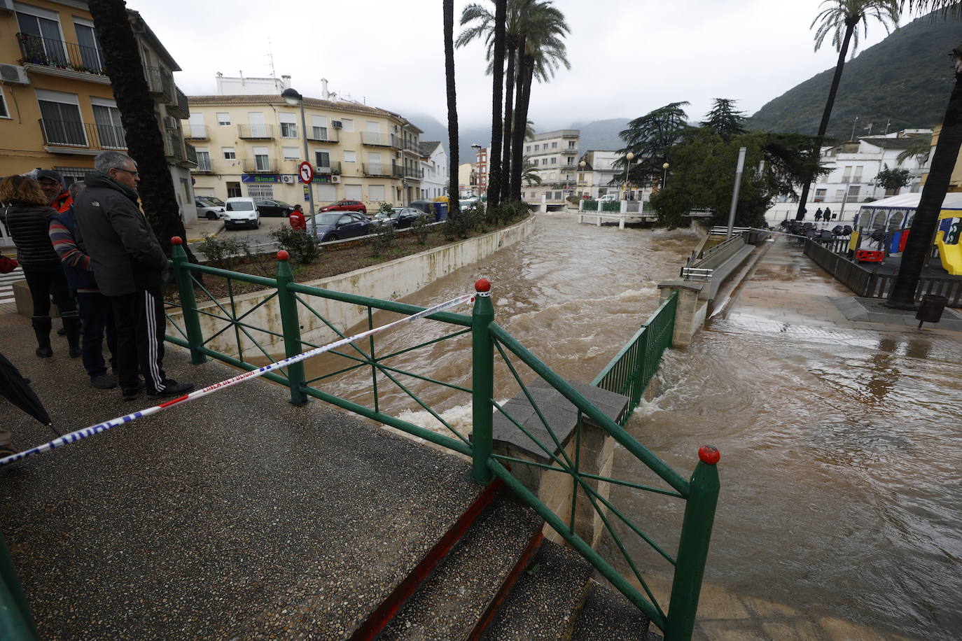 Tras nueve días consecutivos de lluvia, el río Vaca, a su paso por Simat de Valldigna, se ha desbordado. 