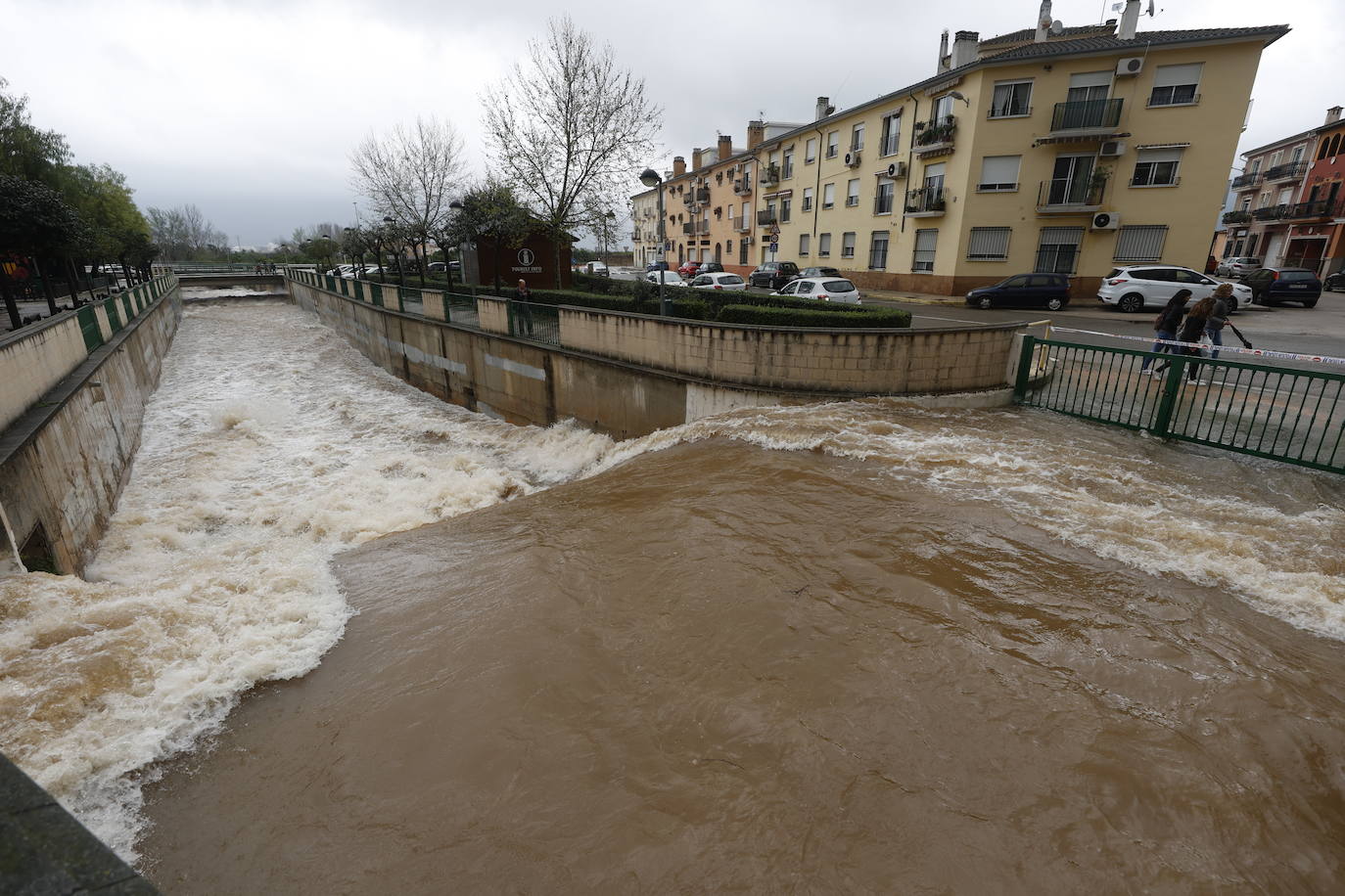 Tras nueve días consecutivos de lluvia, el río Vaca, a su paso por Simat de Valldigna, se ha desbordado. 