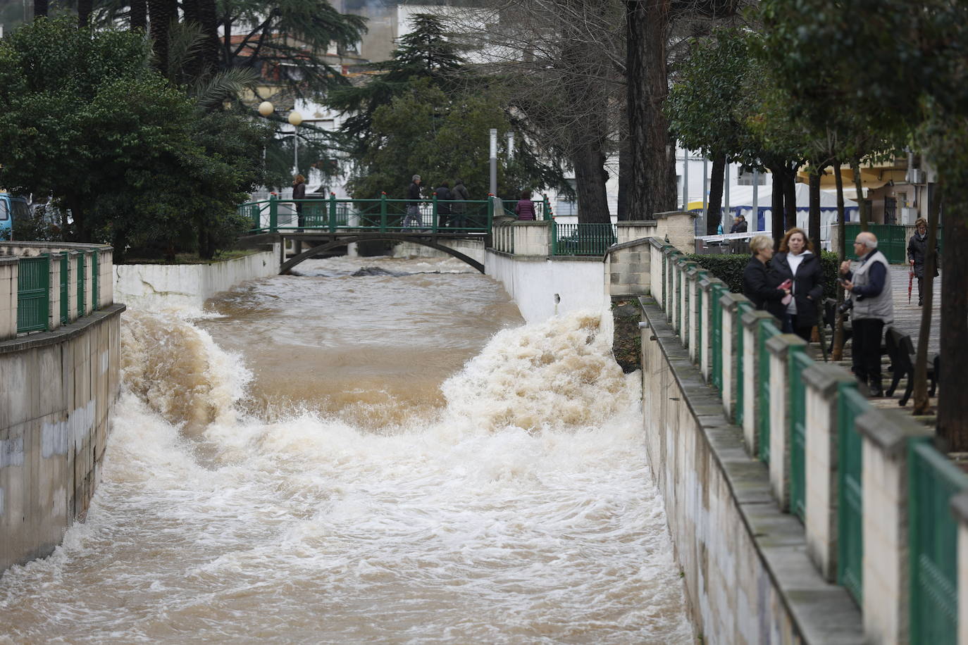 Tras nueve días consecutivos de lluvia, el río Vaca, a su paso por Simat de Valldigna, se ha desbordado. 