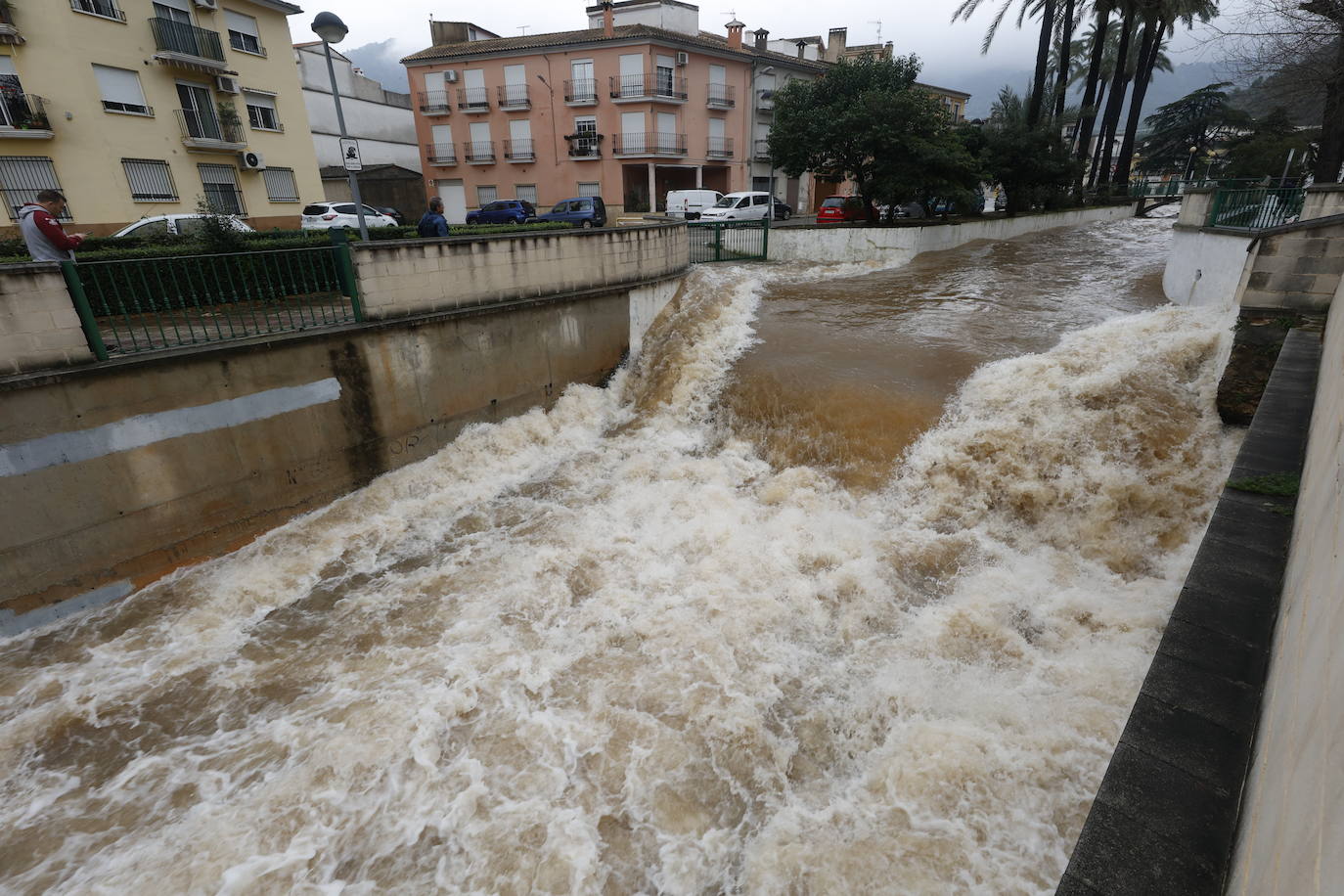 Tras nueve días consecutivos de lluvia, el río Vaca, a su paso por Simat de Valldigna, se ha desbordado. 