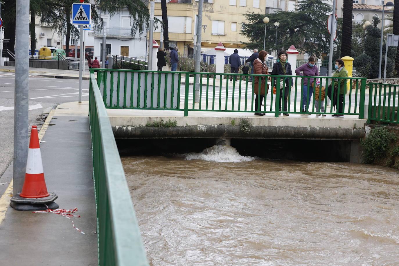 Tras nueve días consecutivos de lluvia, el río Vaca, a su paso por Simat de Valldigna, se ha desbordado. 