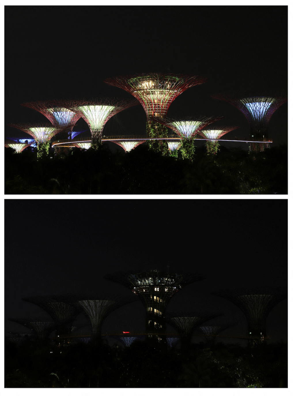 Supertree Grove (Singapur)