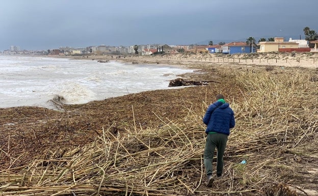 Playas destrozadas en puertas de Semana Santa