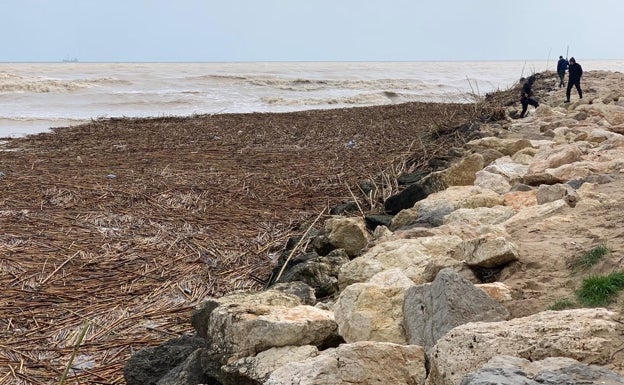 Imagen principal - Desembocadura del río Serpis en Gandia, daños en viviendas de primera línea de Tavernes y estado de la costa en Daimús. 