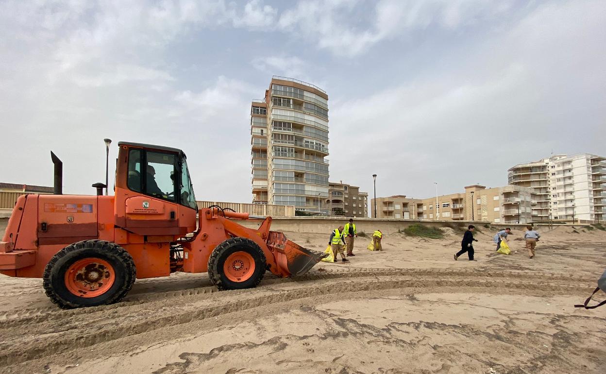 Tareas de limpieza en una de las playas de Sueca. 