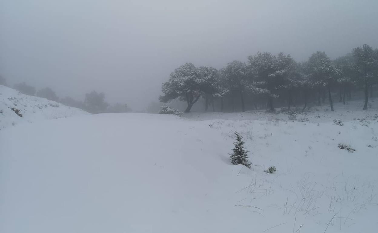 En la sierra de la Serrella la nieve supera los 10 centímetros de espesor. 