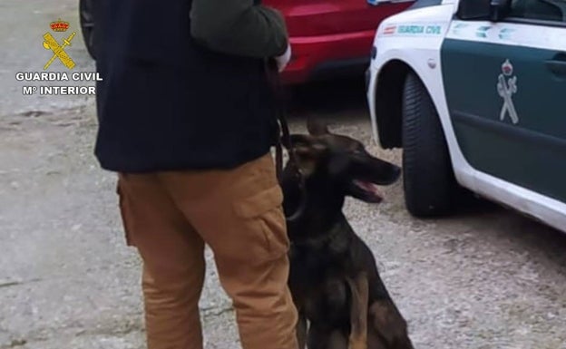 La Guardia Civil investiga varios intentos de introducir hachís en las cárceles de la provincia