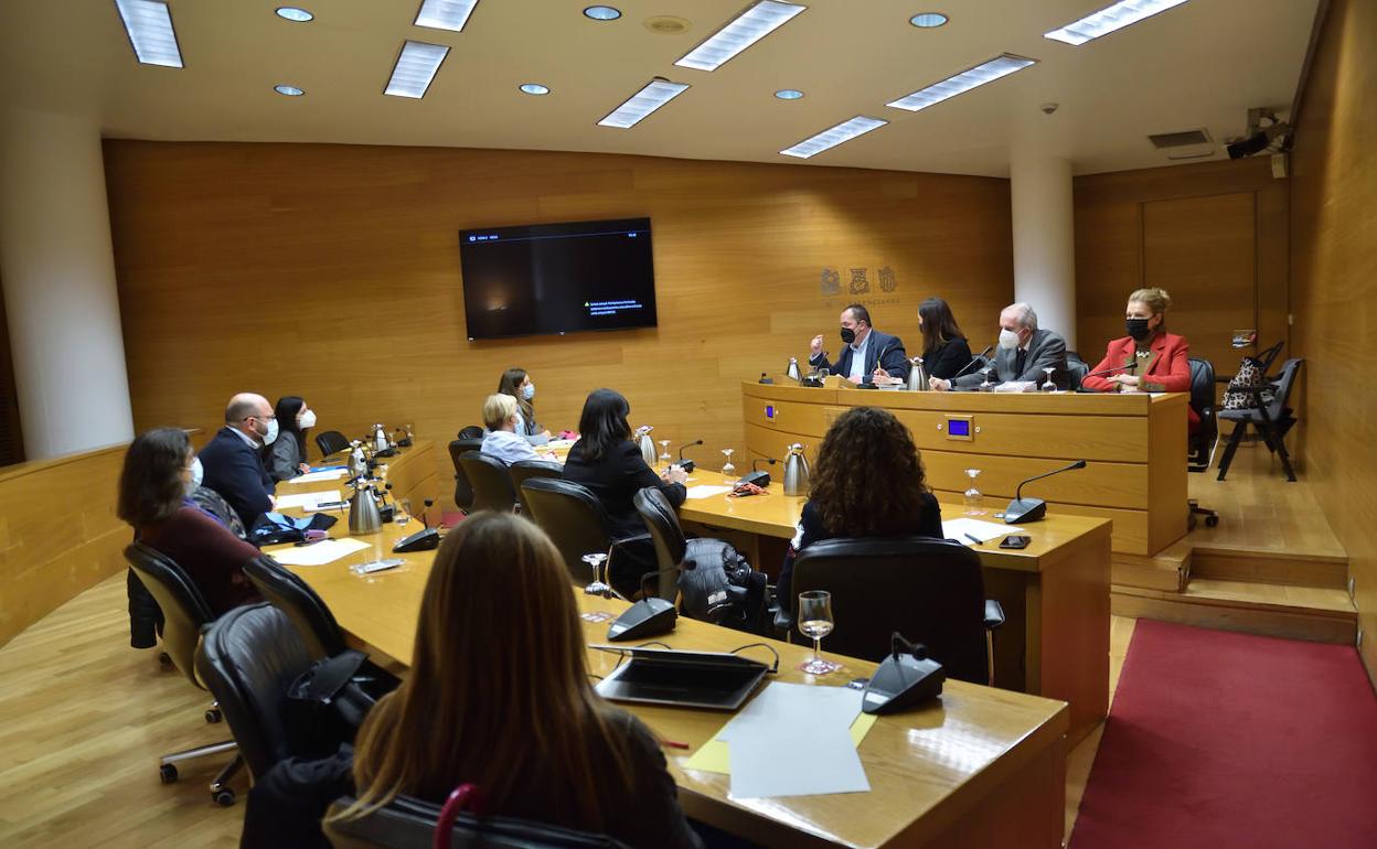 Comisión especial para la prevención del acoso escolar, este miércoles. 