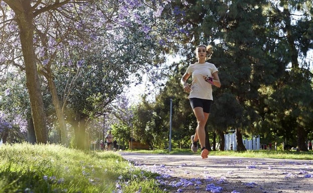 Una corredora recorriendo El Circuit 5k 'Jardí del Turia' de la ciudad de Valencia. 