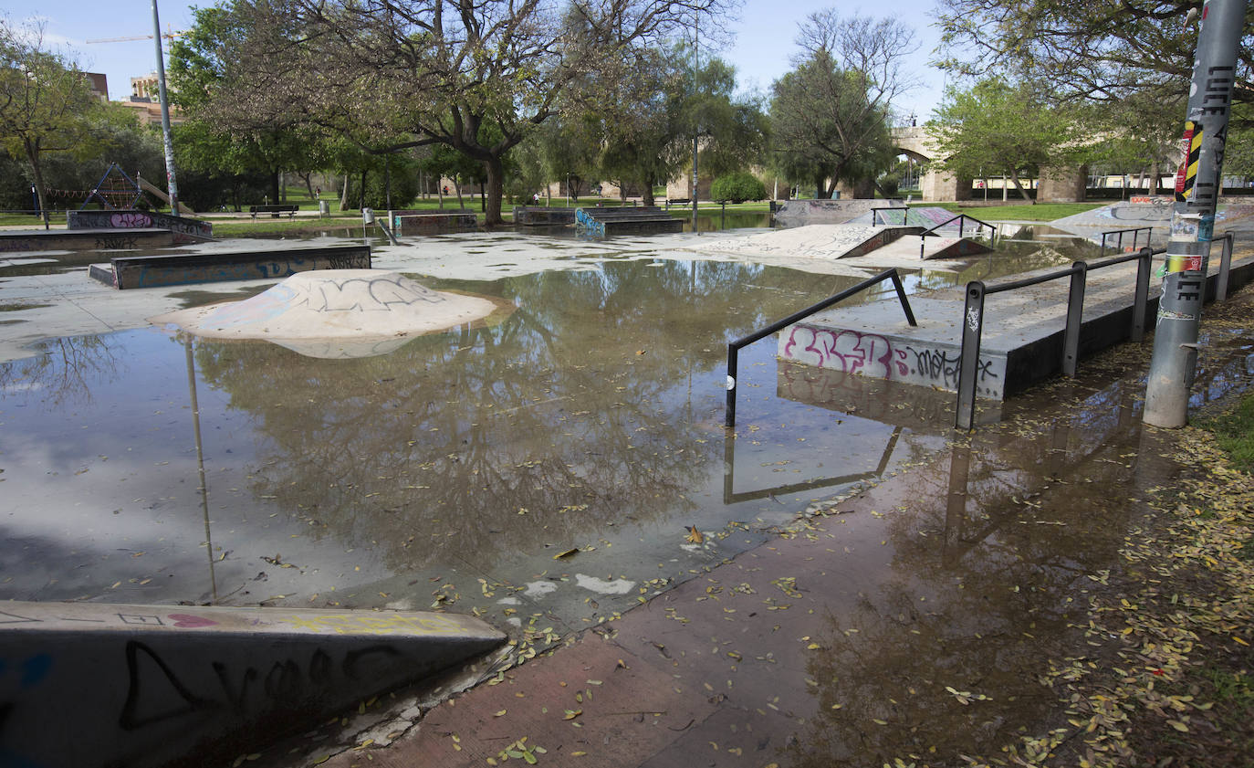 Fotos: El deterioro del Jardín del Turia de Valencia