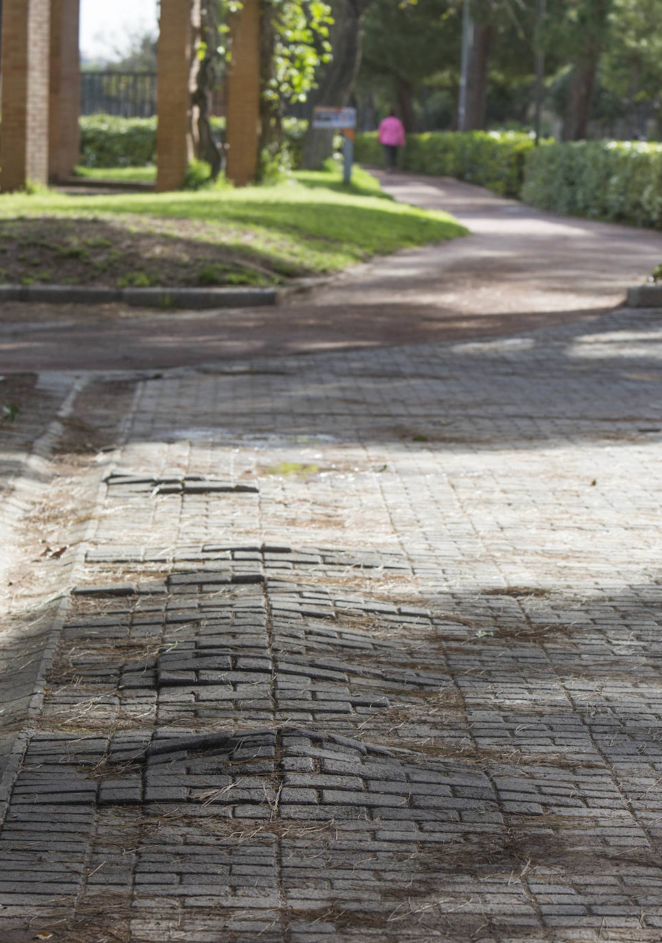 Fotos: El deterioro del Jardín del Turia de Valencia