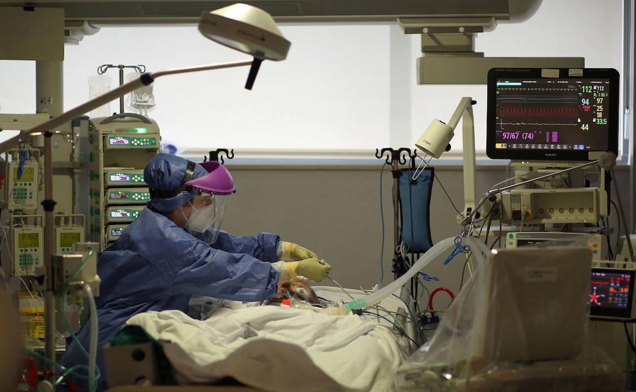 Una sanitaria atiende a un paciente por coronavirus en un hospital de Valencia. 