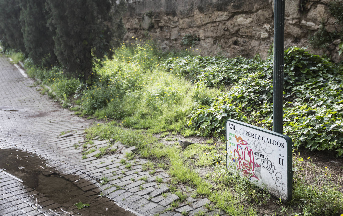 Fotos: El jardín del Turia mira al futuro