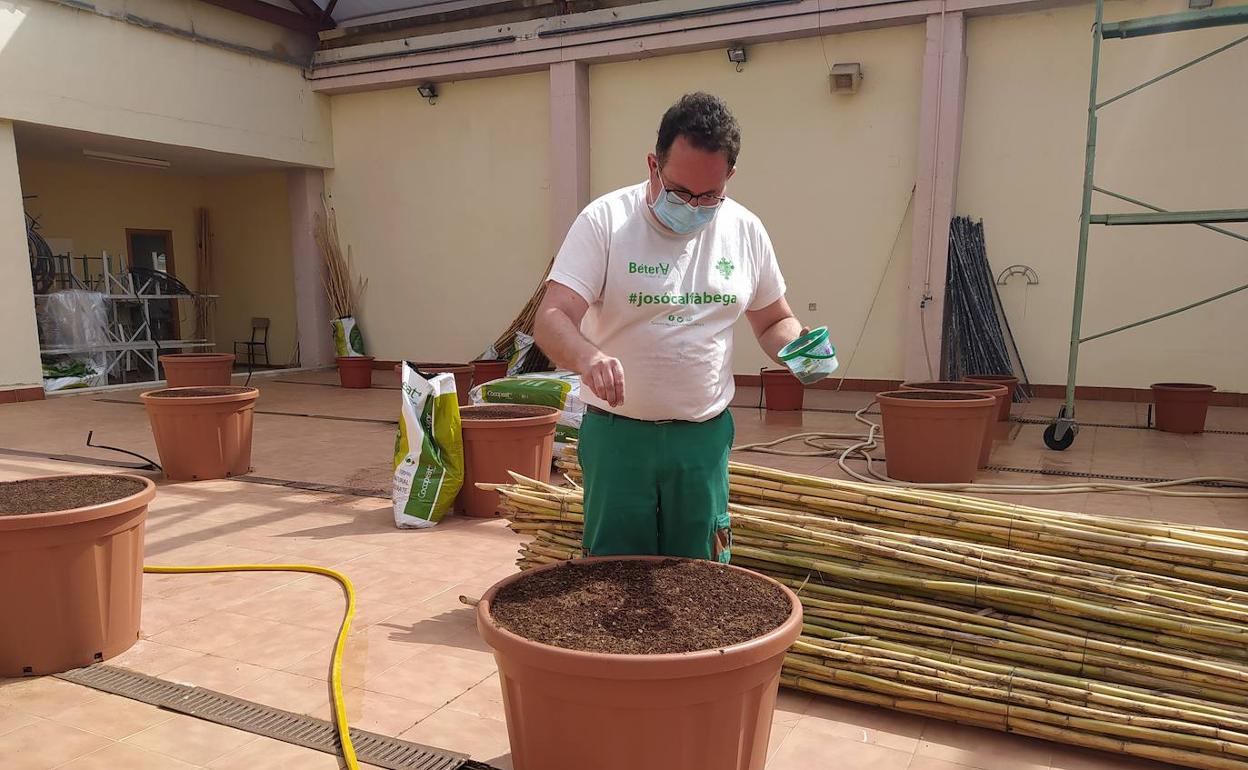 La siembra, primer paso para poder disfrutar de les alfàbegues. 