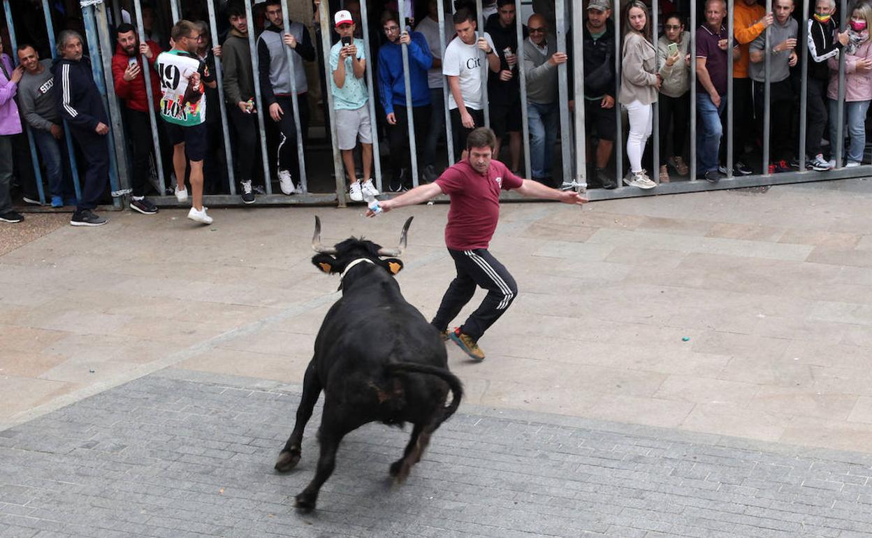 Una de las sesiones taurinas de esta semana de las fiestas de Xàbia. 