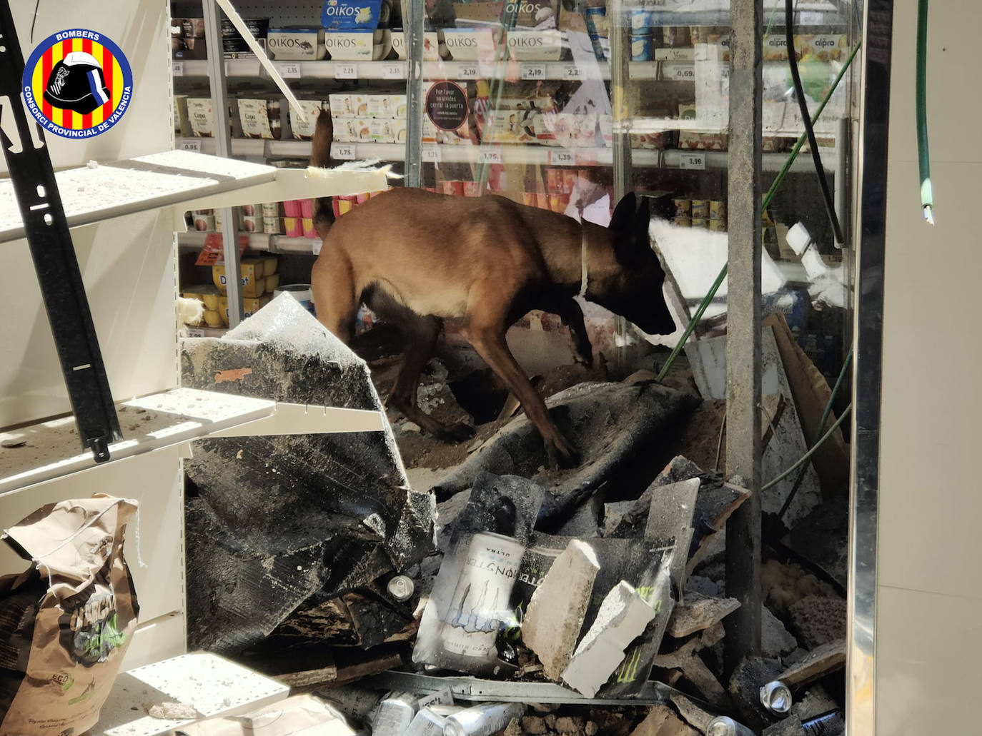 Fotos: Caen 20 metros de la cubierta de un supermercado de Gandia sin dejar heridos