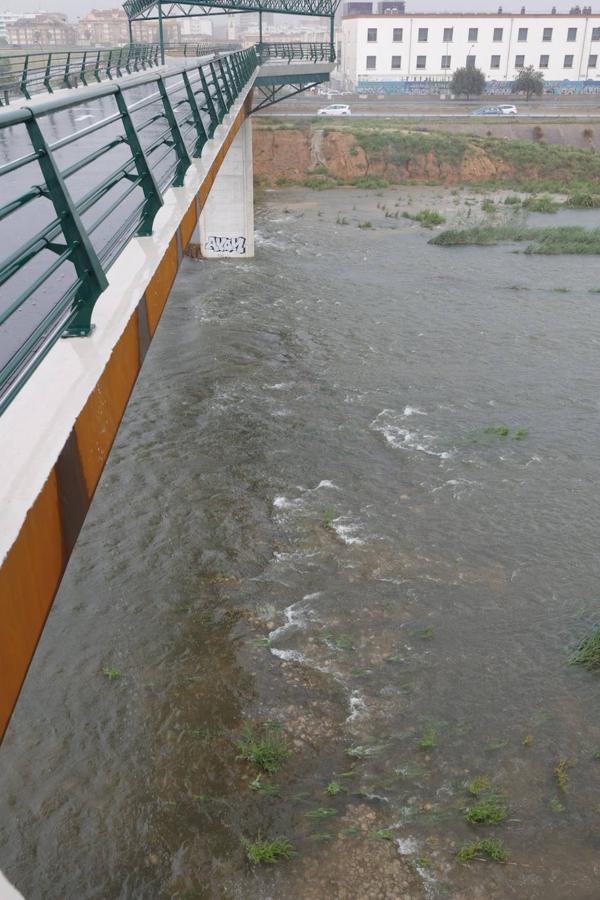Fotos: Las tormentas arrecian sobre la Comunitat Valenciana