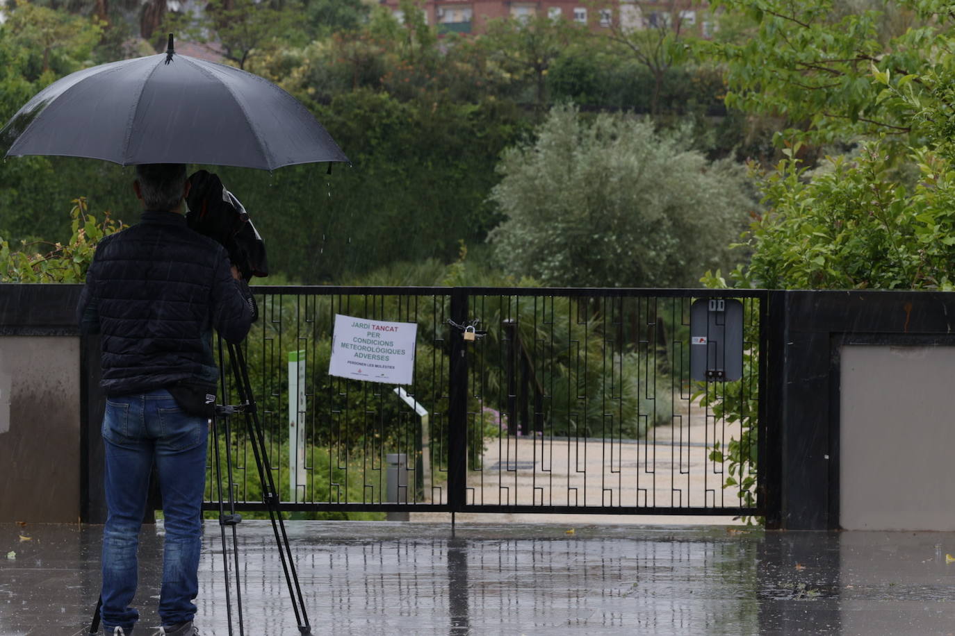 Fotos: Valencia ordena cerrar los parques y cementerios por la lluvia