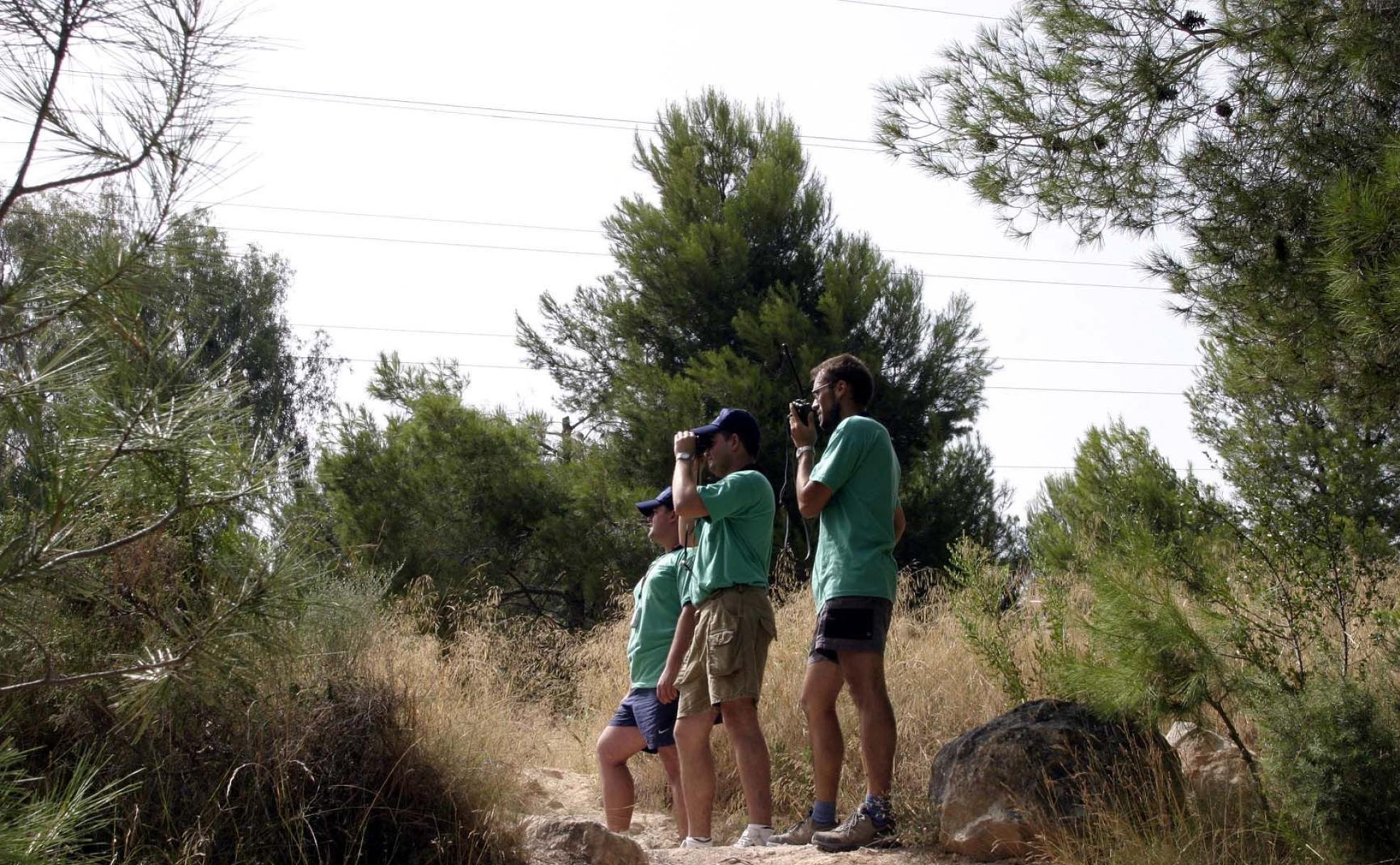 Unos voluntarios, durante una jornada en el Sierra de Perenxisa en Torrent. 