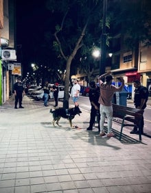 Imagen secundaria 2 - La presentación de los dos canes y ambos en acción con la patrulla. 