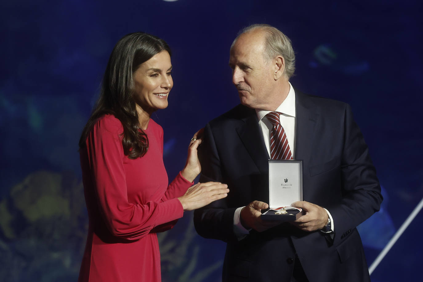 Fotos: La reina Letizia entrega las condecoraciones de Cruz Roja en Valencia