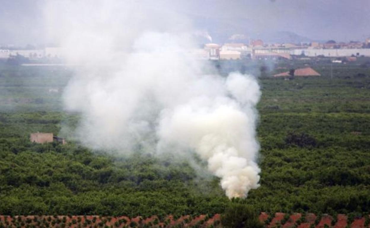 Quema agrícola en un campo de la Comunitat Valenciana. 