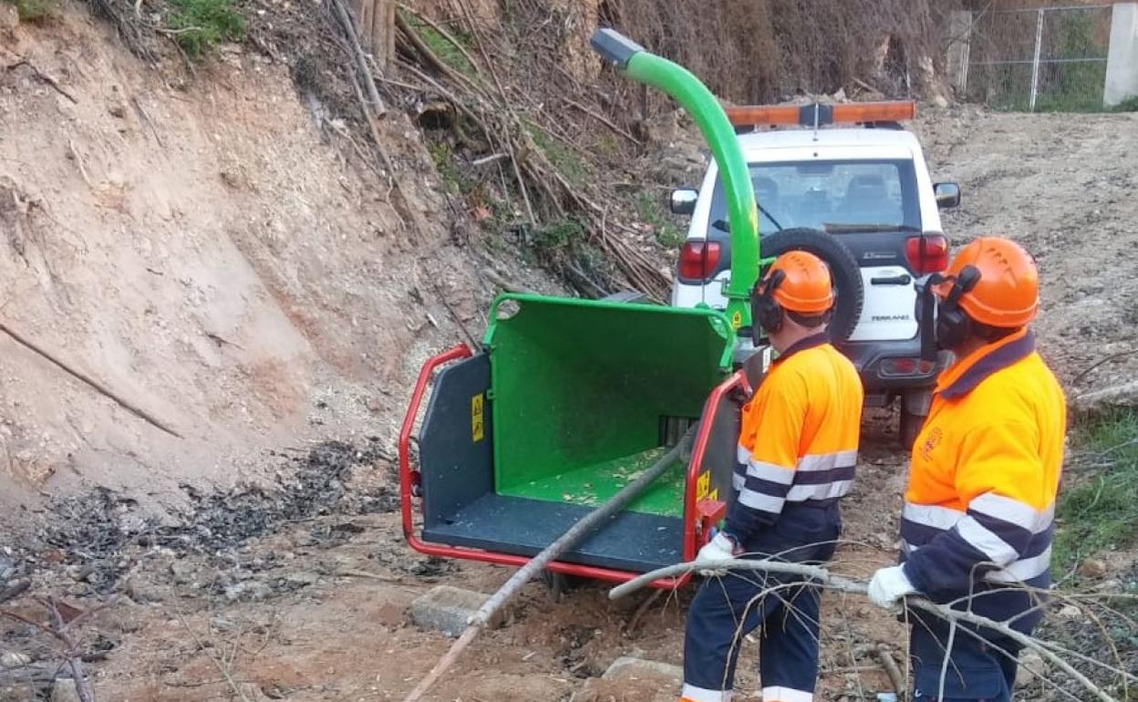 Trabajos de trituración a cargo del departamento municipal de Transición Ecológica. 