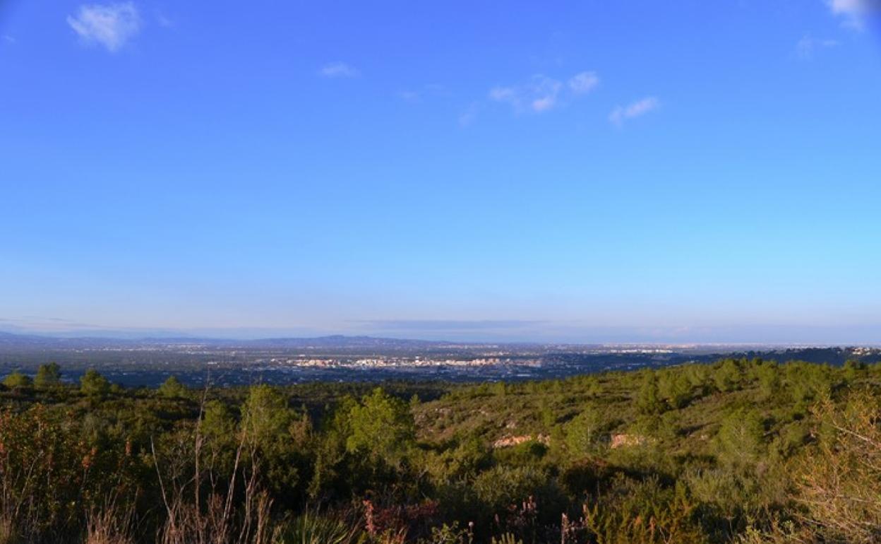 Vista panorámica del Realenc. 