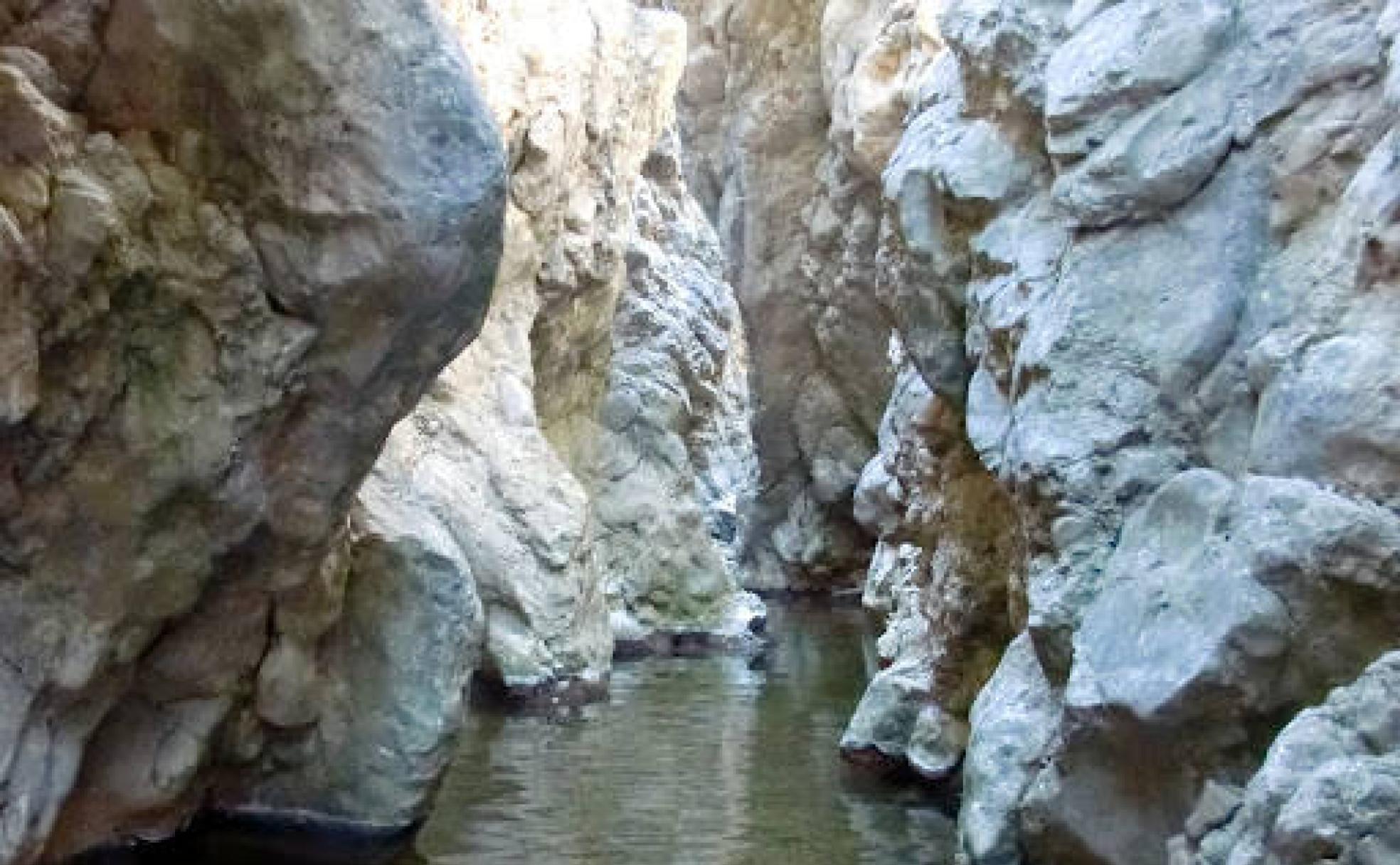 Una de las imágenes características del barranco Palomarejas. 