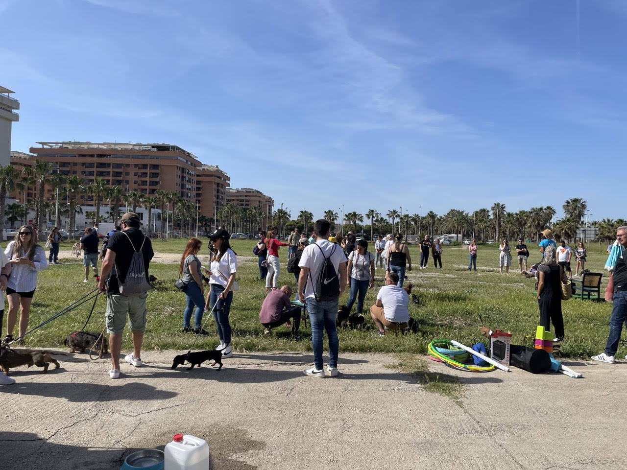 Quedada perruna de este domingo.