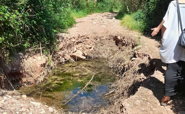 Uno de los caminos rurales en mal estado. 