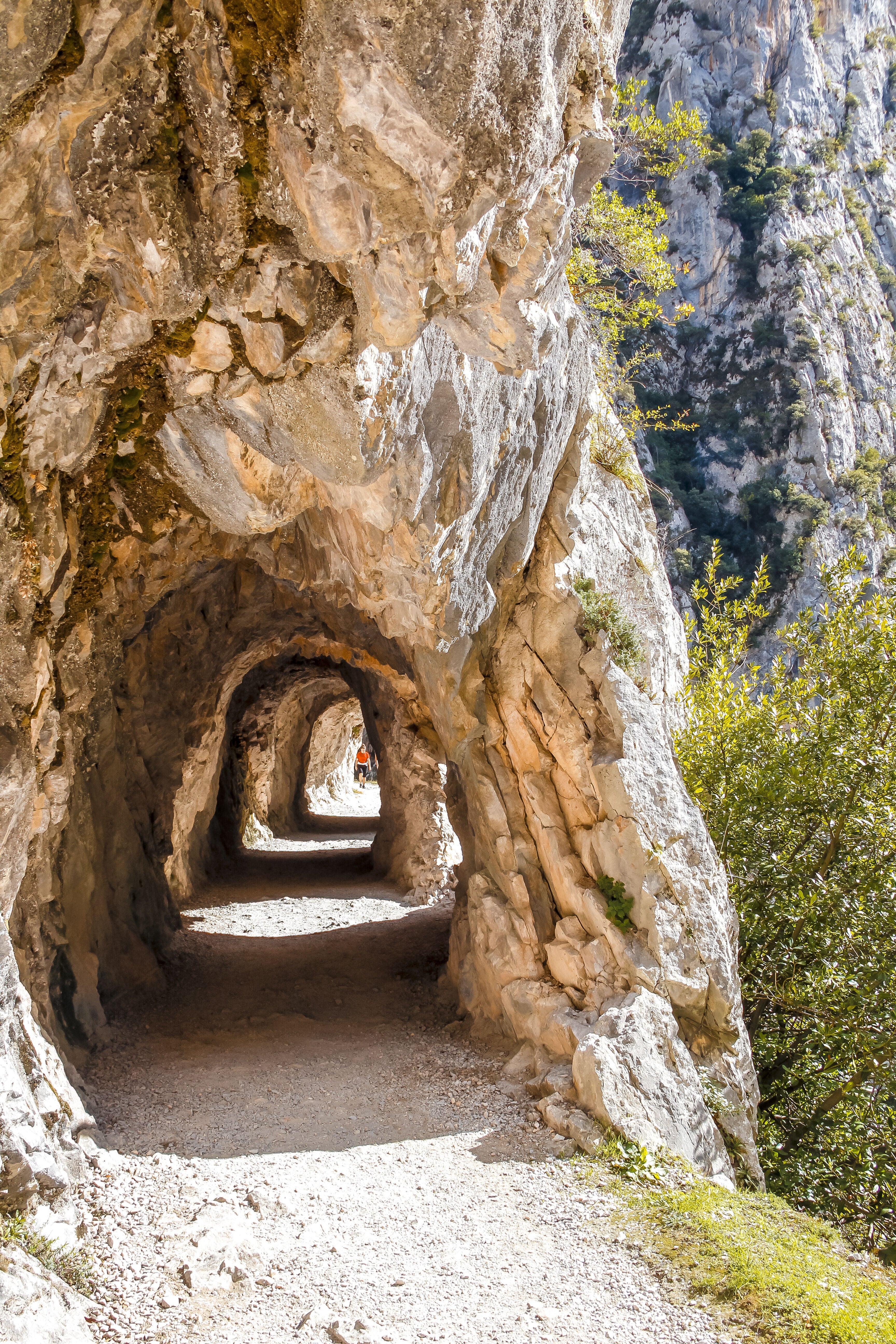 Senda del Oso, Asturias. 