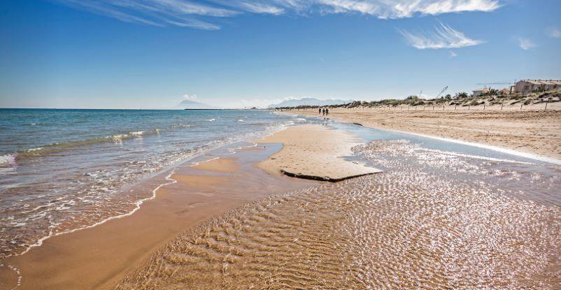 Playa de Terranova, Oliva. 