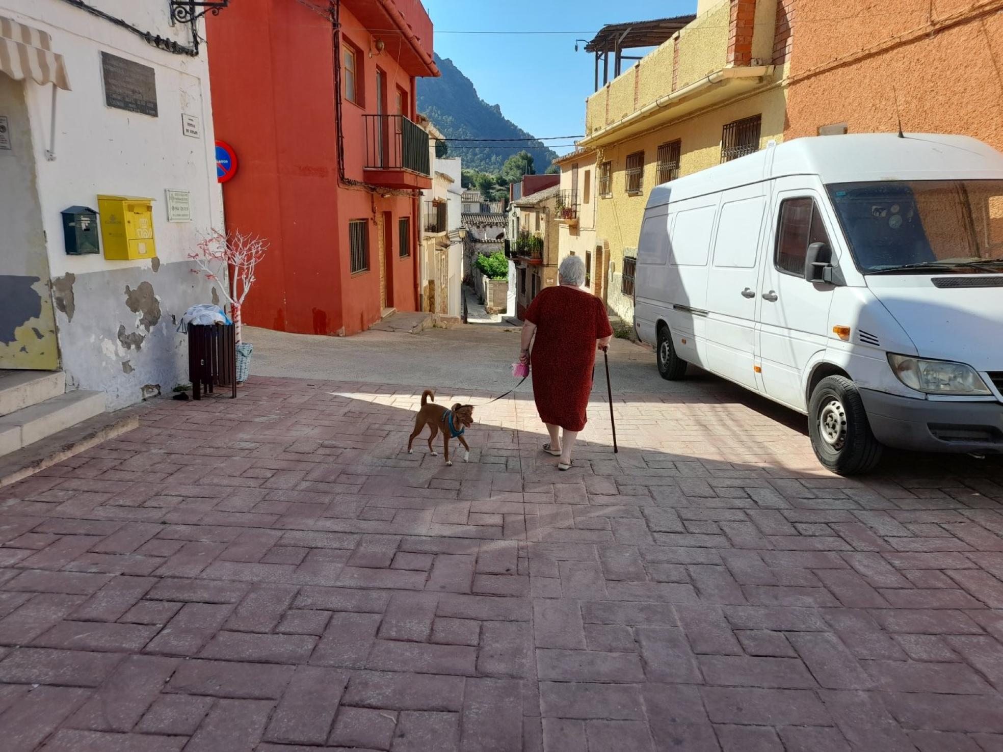 Tranquilidad. Una mujer pasea con su perro por una calle de Marines viejo. 