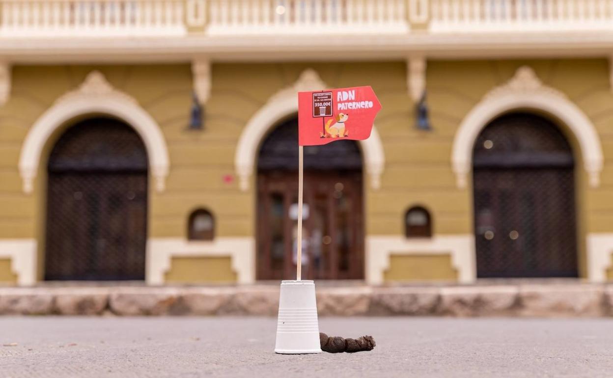 Una de las heces identificada. 