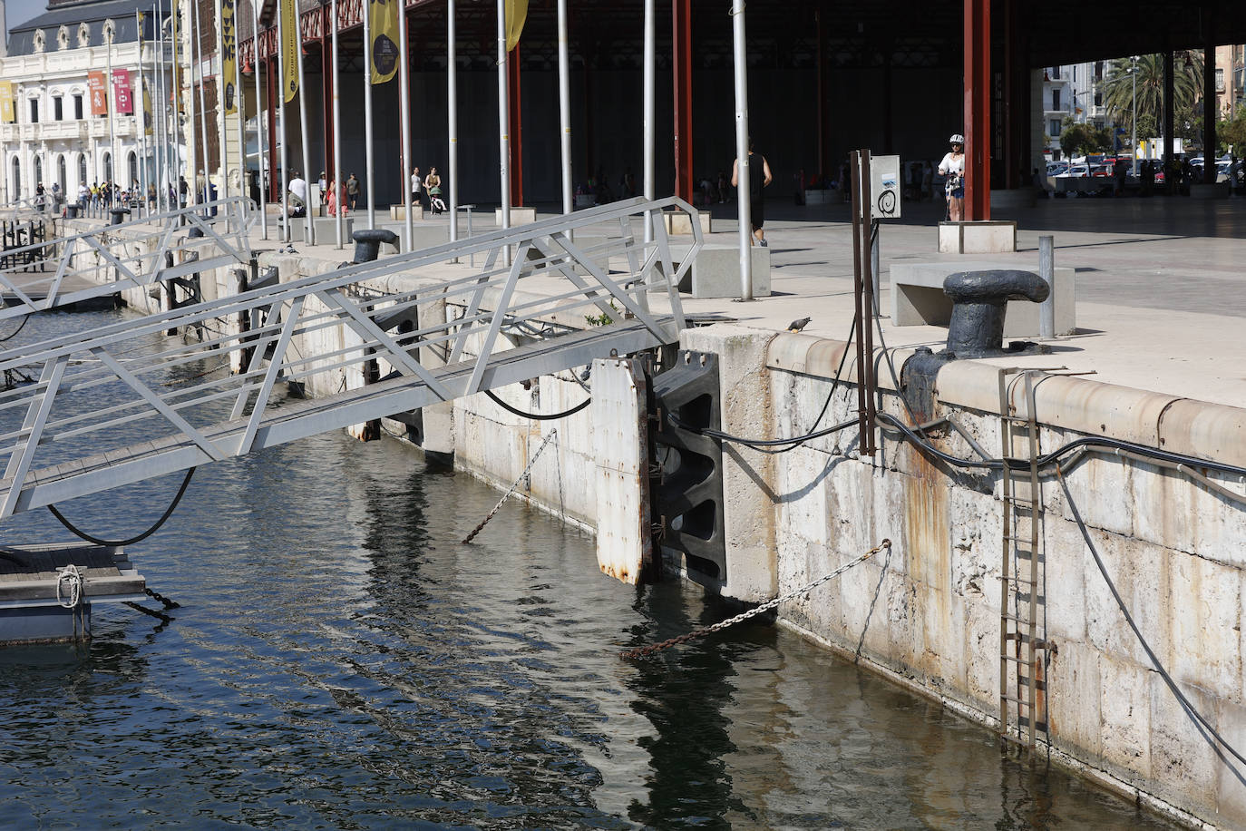 Fotos: Desperfectos y falta de mantenimiento en La Marina de Valencia