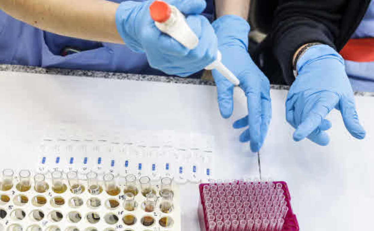 Probetas de pruebas PCR 