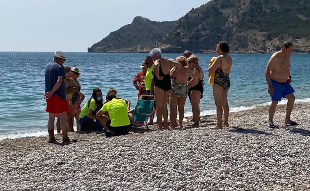 Efectivos sanitarios atienden a la mujer tras el ataque del jabalí