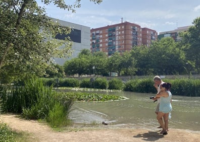 Imagen secundaria 1 - Zona de juegos infantiles de la Rambleta, el lago y una charla. 