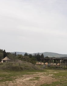 Imagen secundaria 2 - Vino de Valencia | Paisaje en una botella: la magia de Celler de Roure