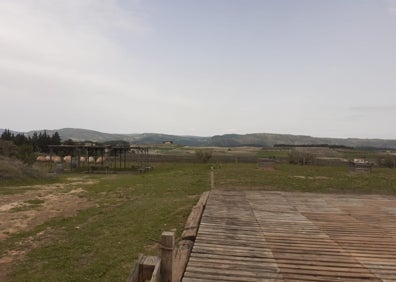 Imagen secundaria 1 - Vino de Valencia | Paisaje en una botella: la magia de Celler de Roure