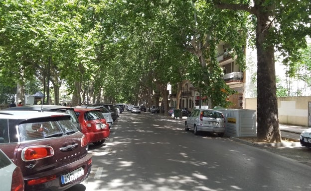 Avenida que lleva el apellido de la Familia. 