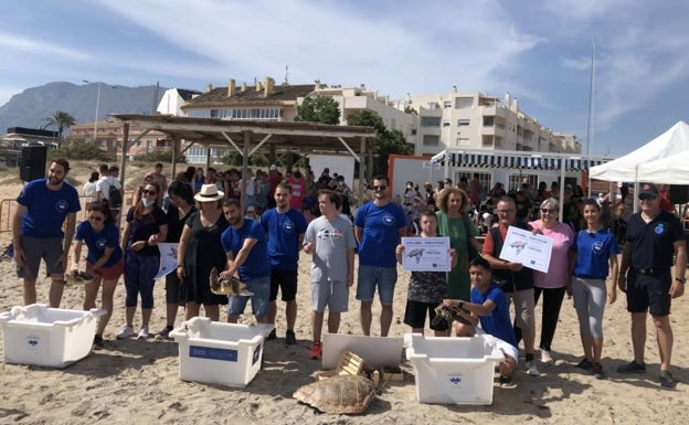 Imagen principal - Varios momentos del acto de suelta de tortugas celebrado en Dénia. 