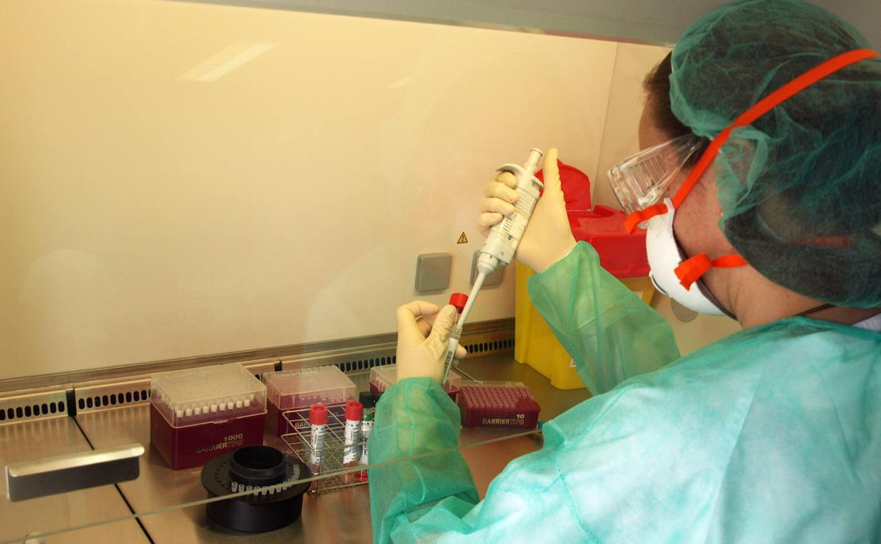 Una profesional del servicio de Microbiología del Hospital General de Valencia.