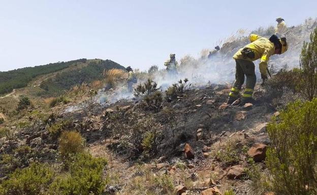 Efectivos del Infoca trabajando en la zona del siniestro, en el incendio de Sierra Bermeja (Málaga)