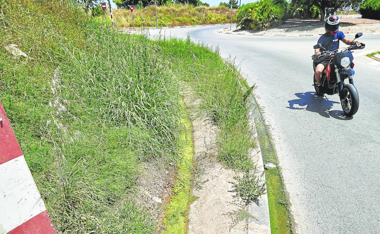 El agua brota en la cuneta de una carretera de Meliana. 