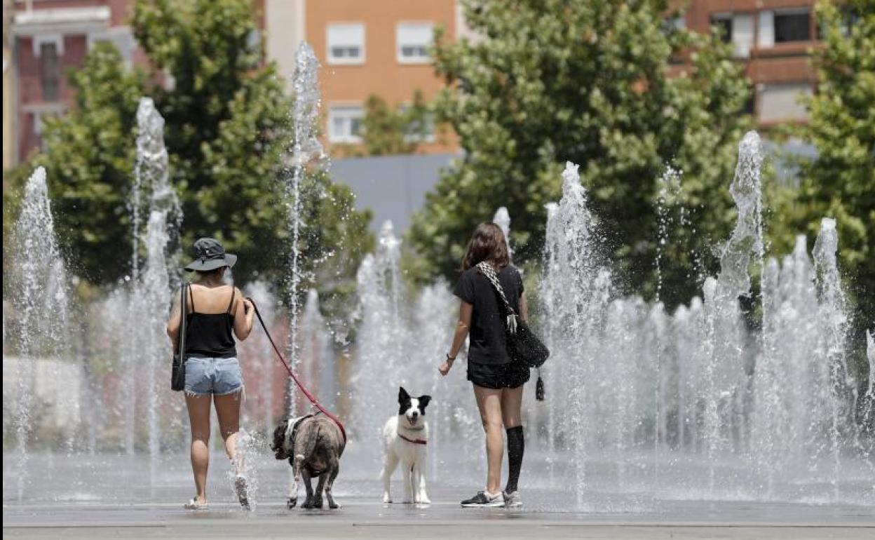 Fuentes del Parque Central en Valencia.